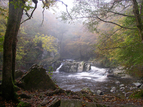 Le Saut de Gouloux - Resort Bousset