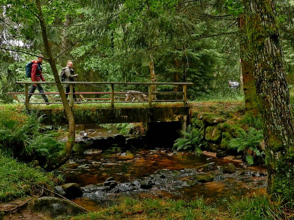 Le Saut de Gouloux - Resort Bousset